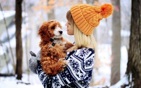 女孩，金发，狗，帽子，毛衣，街，可爱，心情