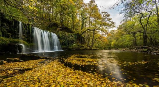 自然，秋天，瀑布，森林，美丽