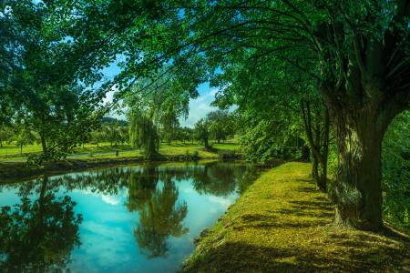 照片，池塘，公园，夏天，美丽，树木