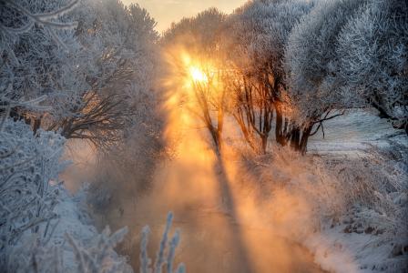 冬天，性质，雪，树，太阳，雾，Gordeev爱德华
