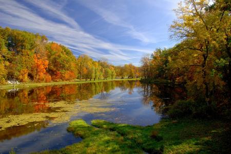 秋天，公园，池塘，性质