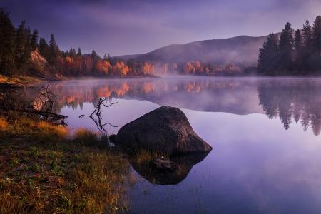 自然，秋，早晨，日出，森林，湖，反射，雾，石头