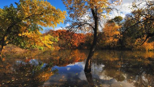 秋天，池塘，性质