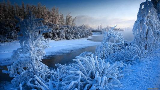 冬天，雪，河，灌木，白霜，桥梁，树木