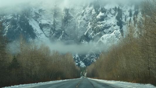 阴霾，雪，山，雾，冬天，路，森林