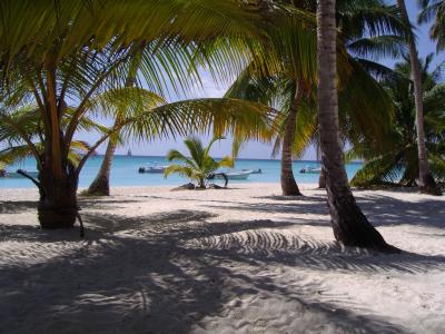 多米尼加共和国，共和国，沙滩，棕榈树，沙，小船，人，影子