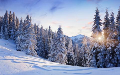 冬天，山，自然，树，雪