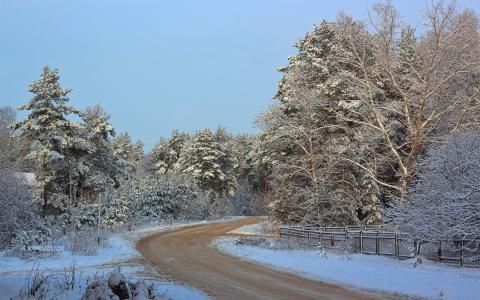 路，冬天，景观