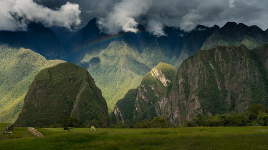 自然，阿根廷，山，美洲驼，美丽，云，阴