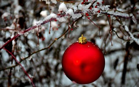 圣诞树，球，红色，玩具，冬天，冰，球，分支