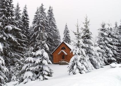 性质，喀尔巴阡，乌克兰，冬天，雪，Khutorok安静
