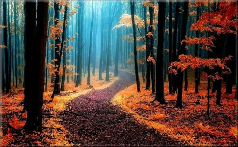 路径，蓝色阴霾，树木与黄色和红色的叶子，秋天的公园
