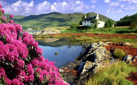 自然，景观，苏格兰，房子，水，石头，花，山，丘陵