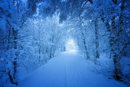 冬天，雪，路，美丽，挪威