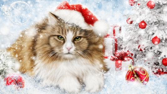 猫，猫，新年，装饰，玩具，雪花，圣诞树