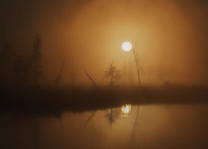 晚上，沼泽，雾，月亮，满月，反射