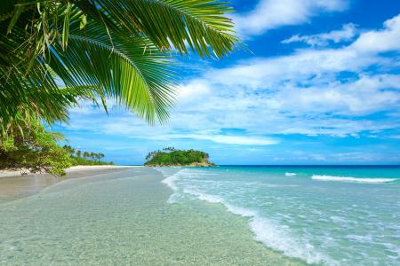 热带地区，天堂，休息，海洋，棕榈树，超级照片