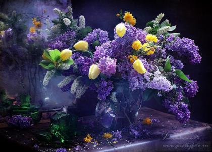 春天的花束，丁香，郁金香，花瓶，照片，Marina Volodko