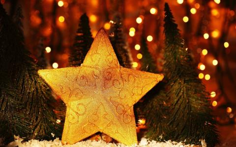 明星，新的一年，圣诞树，圣诞节