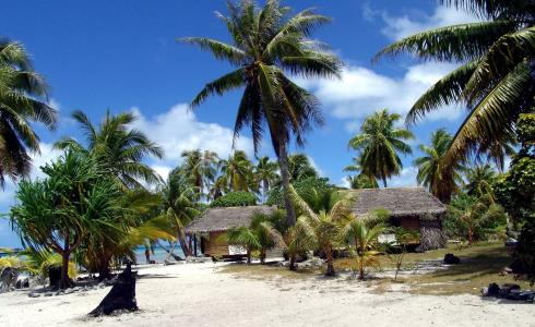 热带地区，棕榈树，岸边，沙滩，家园和舒适