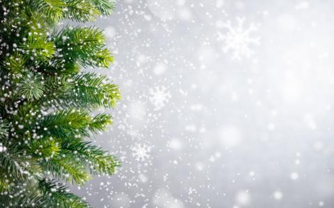 冬天，圣诞节，圣诞树，雪花，冬季，雪，雪，新年，圣诞