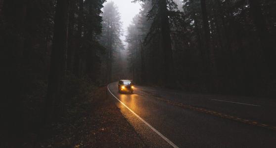 森林，路，车，美丽