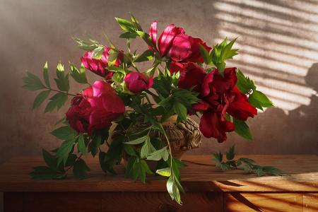 Inna Sukhova，桌子，花瓶，鲜花，牡丹，阴影