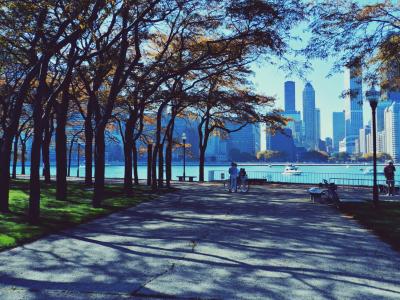 芝加哥，芝加哥，摩天大楼，公园，人们，秋天