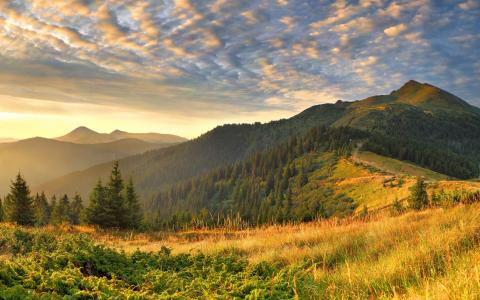 风景，照片，大自然，草，丘陵，光，早晨，云，云，山，宽屏桌面壁纸，宽屏壁纸2560x1600
