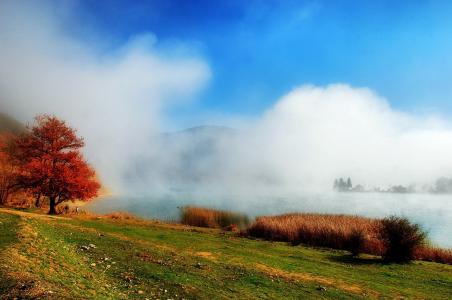 秋天，湖，雾，树，美丽