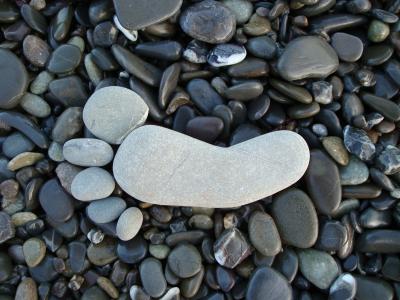 鹅卵石，石头，scled