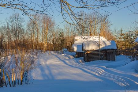 冬天结束，森林，雪，房子，太阳，Marina Murashova