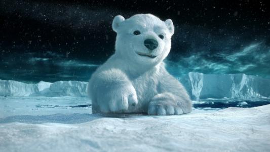 北方熊，冬天，冰