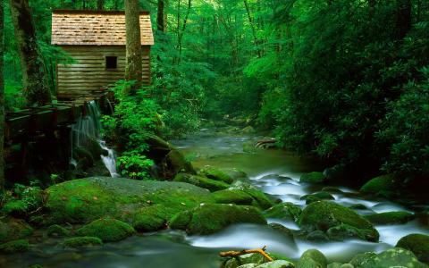 木房子，大坝，山区河流，清澈的水，岩石，绿色的青苔，树木，高清