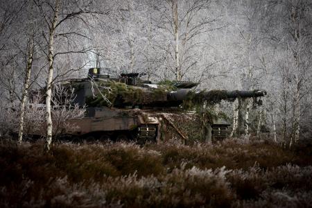 树木，战斗，伪装，豹子2a6m，森林，坦克，草，坦克