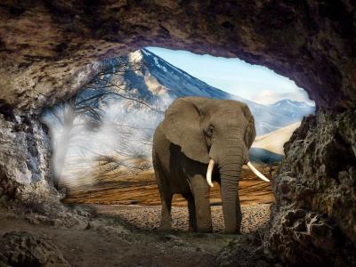 洞穴，大象，风景，photomanipulation