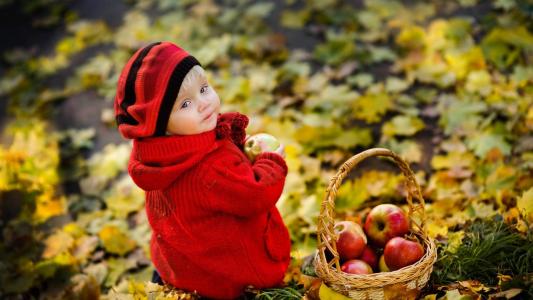 孩子，秋天，叶子，苹果