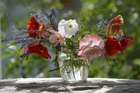 构成别致，静物，鲜花，花瓶，罂粟花，美女