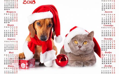日历，2018年，狗，猫，玩具，帽子，友谊