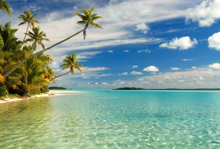 库克岛，棕榈树，海，沙，天空，云，沙滩