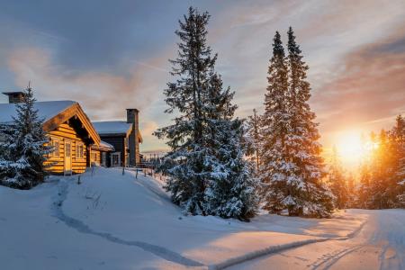 冬天，森林，雪，小房子，美丽