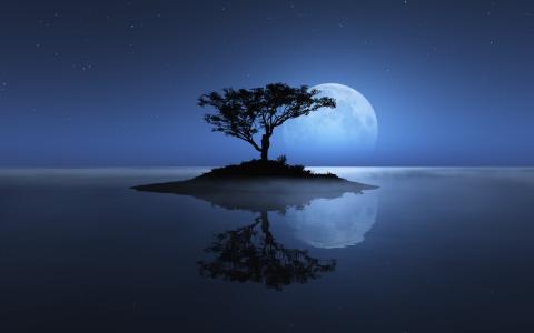 自然，树，星星，月亮，月光，岛