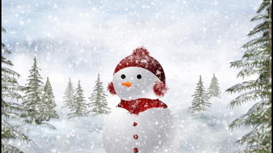 雪人，冬天，雪，树木，性质