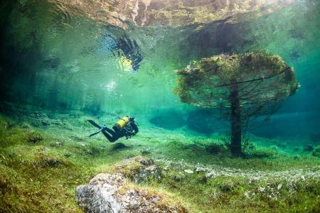 照片，水下，奥地利，绿色的湖，潜水，美丽，洪水