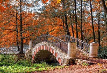 公园，水，桥，秋天