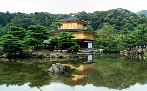 日本，大自然，森林，湖，反射，游客，石头，针