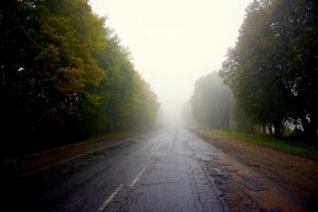 道路，树木，雾，地平线，Kostyantyn巴兰