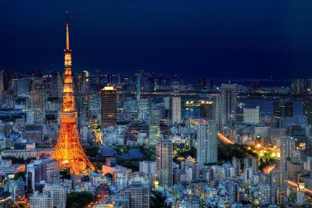 日本，东京，首都，日本，东京，首都，大都会，灯光，照明，塔，房屋，建筑物，摩天大楼，夜间，蓝色，天空