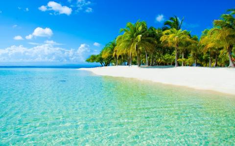 自然，沙滩，海洋，热带地区，度假村，美丽