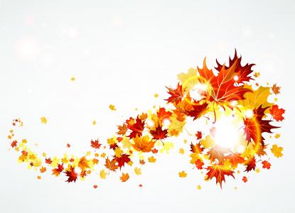 风，发光，秋天，叶子